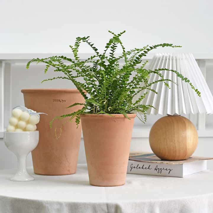 イヴ ルンゴポット イタリア製テラコッタ鉢［2色・4サイズ］