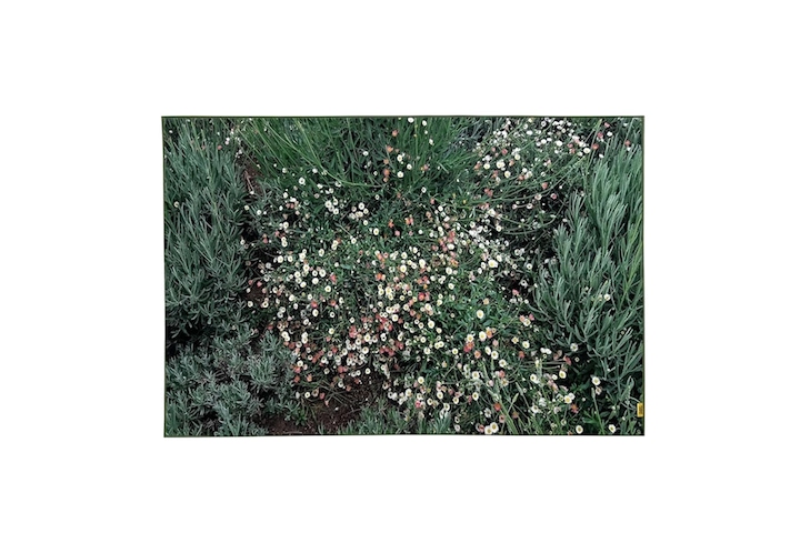 https://prs.ohousecdn.com/apne2/any/uploads/productions/v1-311580709093504.png?w=720&h=480&c=c