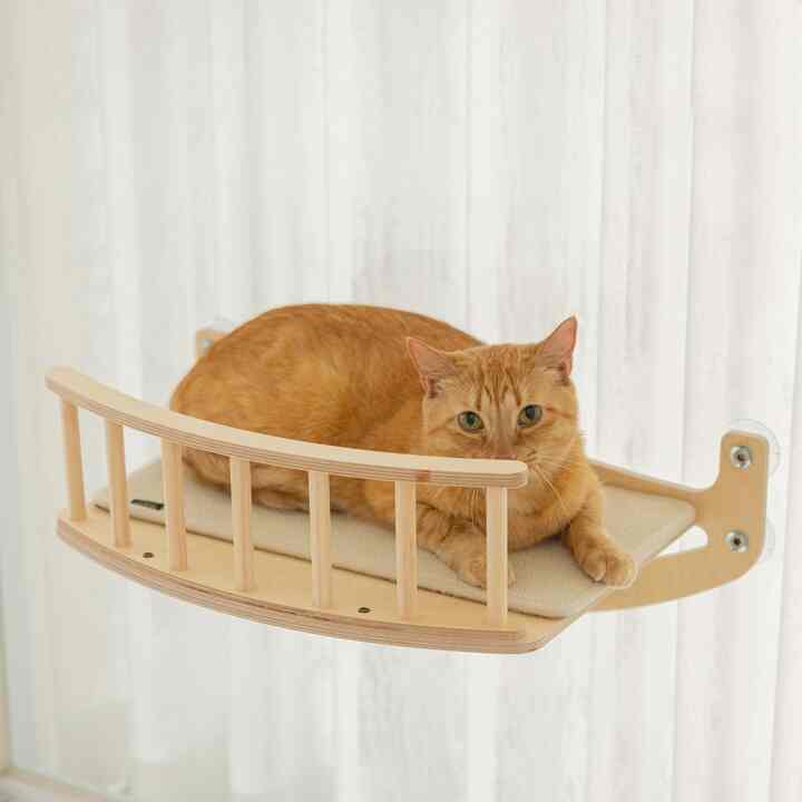 ウィンドウキャットウォーク GO20220［5色］