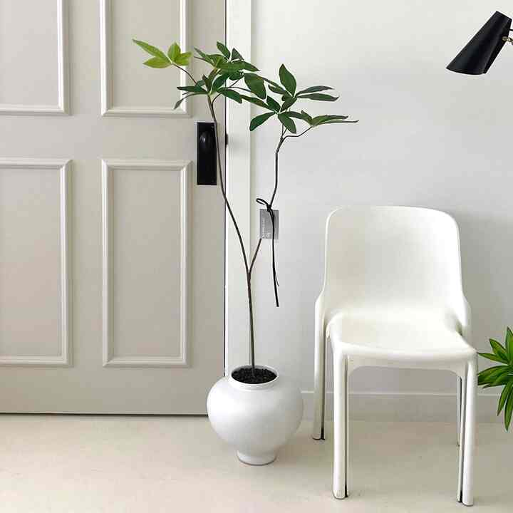 パキラ 造花＆ムーンジャ植木鉢セット