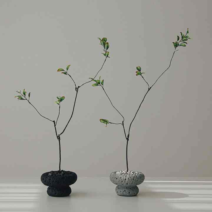 ニシキギ フェイクグリーン