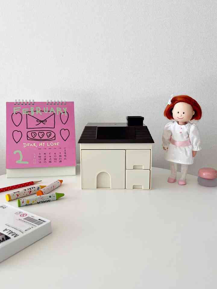 BIG HOUSE ミニ 収納 オーガナイザー