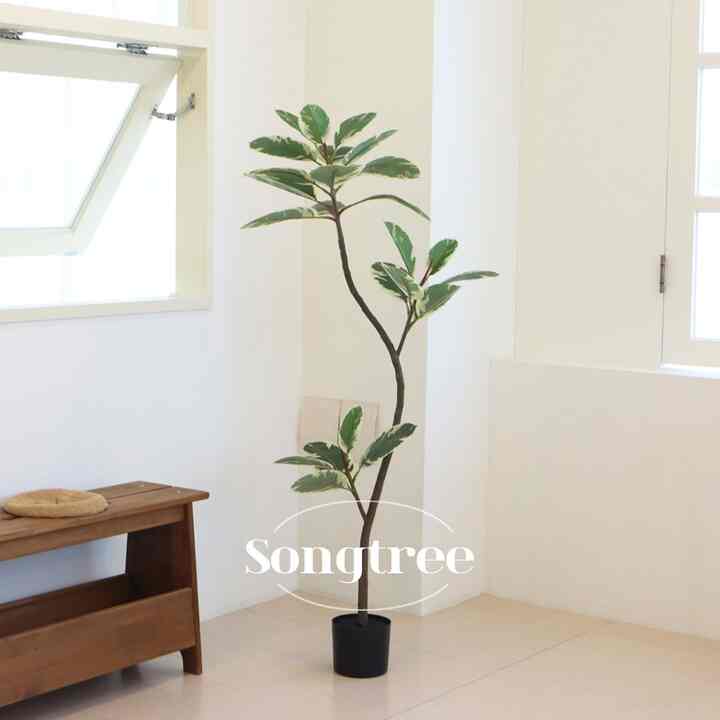 UNIQUE COLOR ゴムの木 造花［2サイズ］