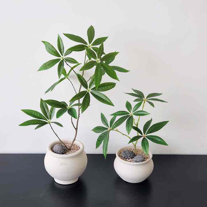 パキラ 造花［2サイズ］