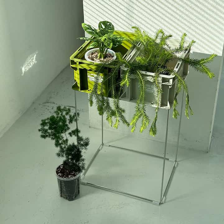 Wire Frame Utility Stand