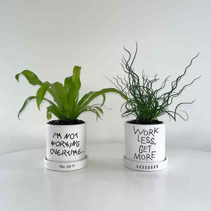 選べる観葉植物＆ハードワーカーレタリングポット［10種］