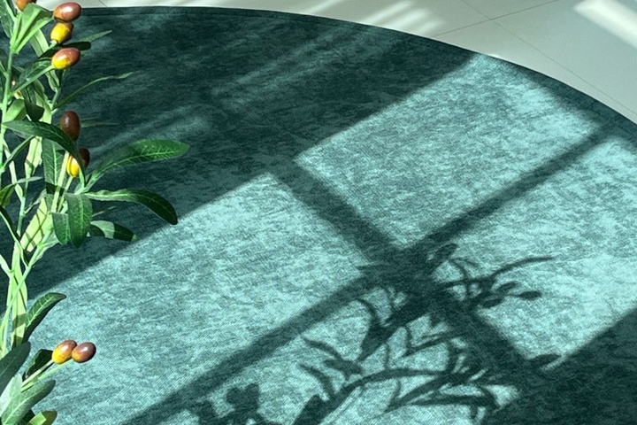 사각/타원/원형 방수 워셔블 포인트 러그 8color 14size