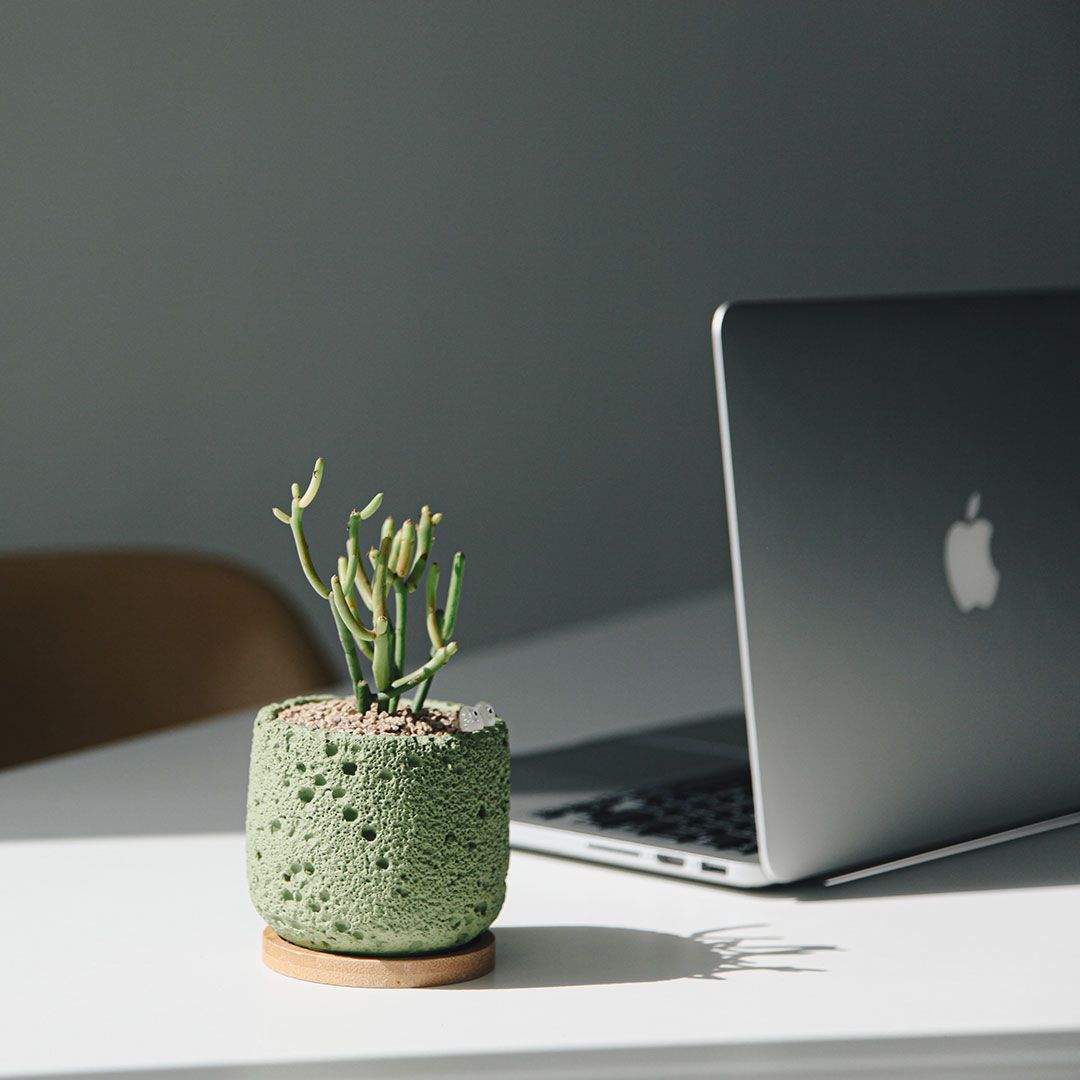 [신상품]펫플랜트 파티오라금 세라믹 화산석 화분