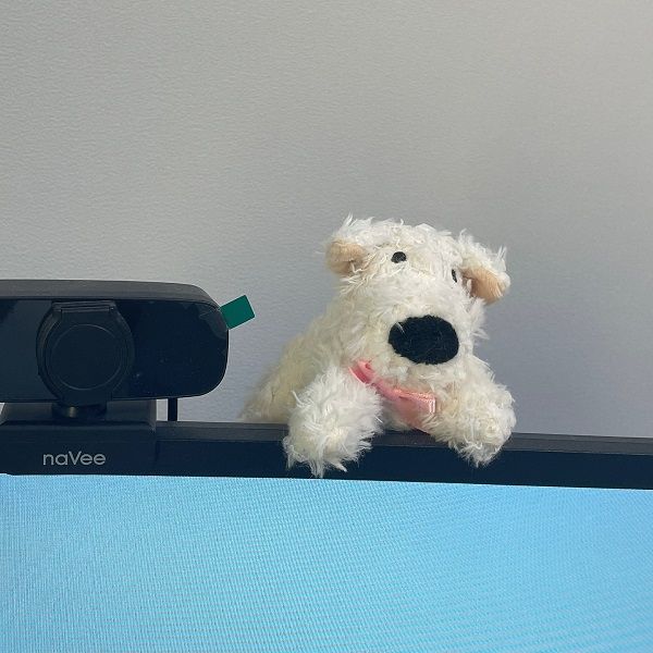 [오늘출발][중고]체리제리 [리퍼] 귀여운 강아지 모니터 네비게이션 인형 와이퍼 데스크 꾸미기