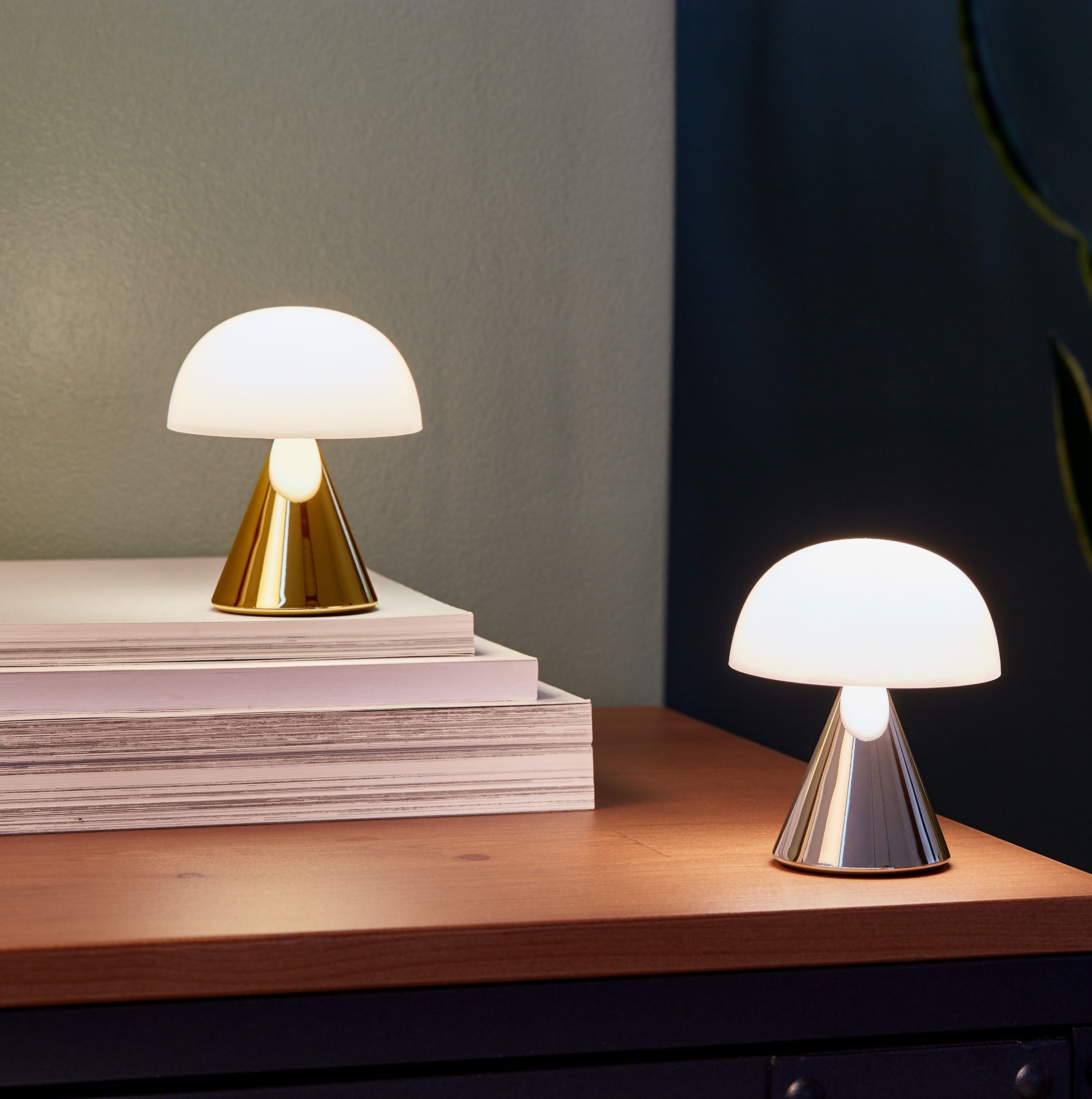 希少レア⭐︎Leviton のランプ(大型)2個セット LEXON レクソン MINA ミニLEDランプ LH60［13色］ | 照明 | Ohouse