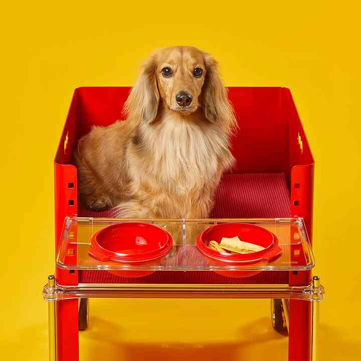 Welcome ハイチェア RED［6色・3タイプ］