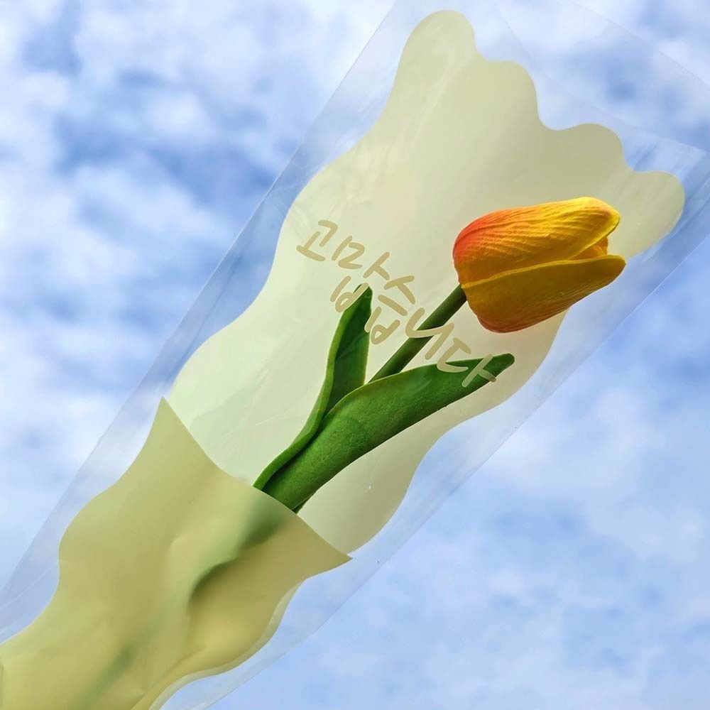 파티·이벤트용품 > 꽃포장지 OPP 투명비닐 봉투형 꽃다발…