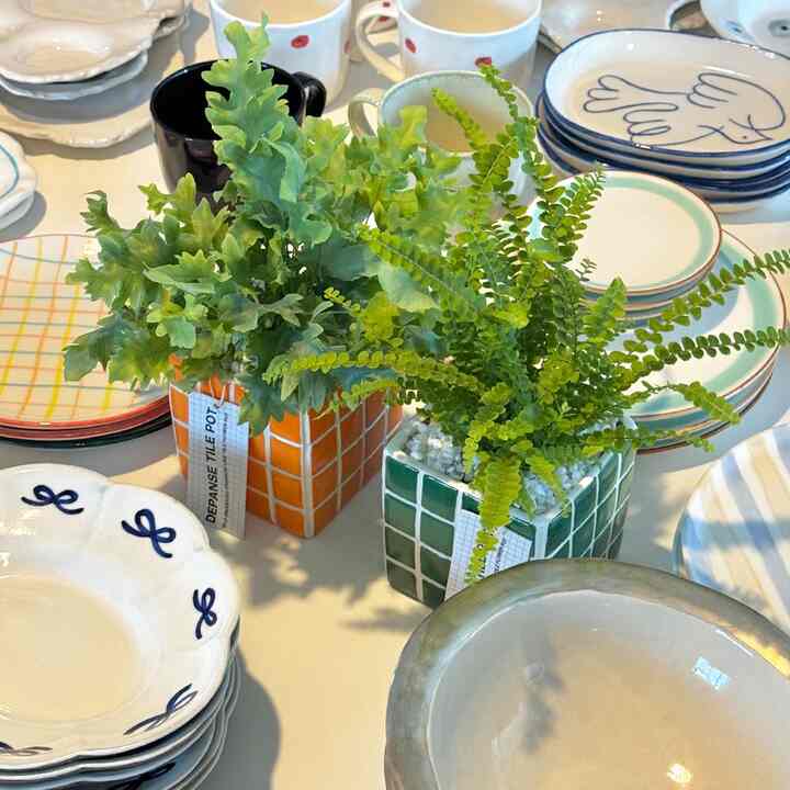 空気浄化植物+タイル鉢［7色・8種］