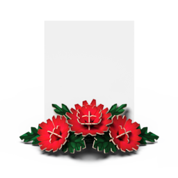 3D Paper Card - Carnation bouquet / Realistic