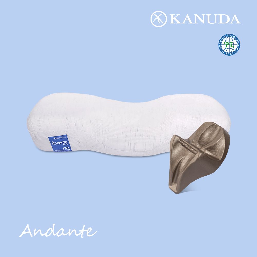 가누다 블루라벨 안단테 Soft 싱글세트 (베개1+머리냅1) / 메모리폼 경추 기능성 베개