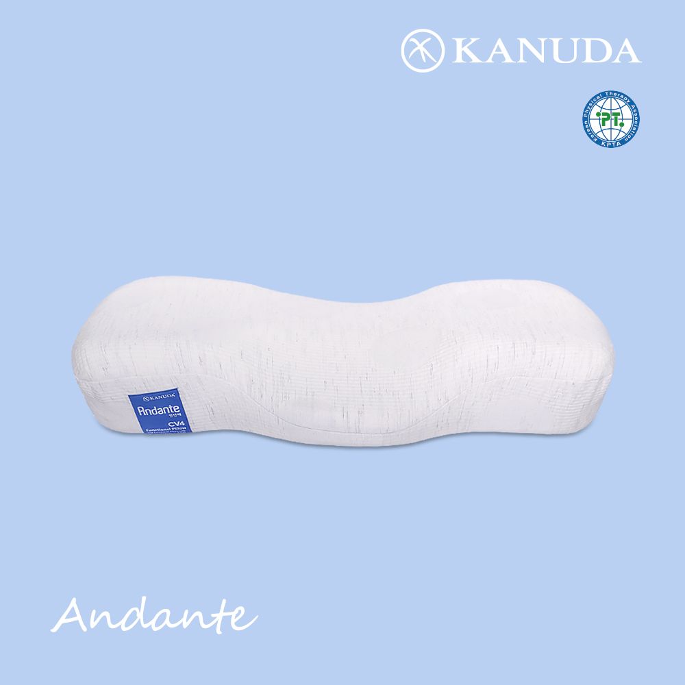가누다 블루라벨 안단테 Soft 단품 / 메모리폼 경추 기능성 베개 