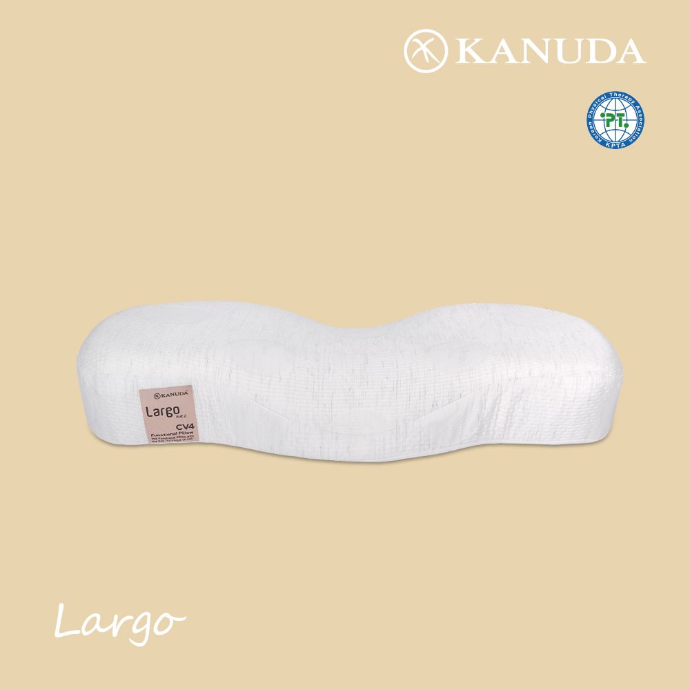 가누다 골드라벨 라르고 Soft 단품 / 메모리폼 경추 기능성 베개 