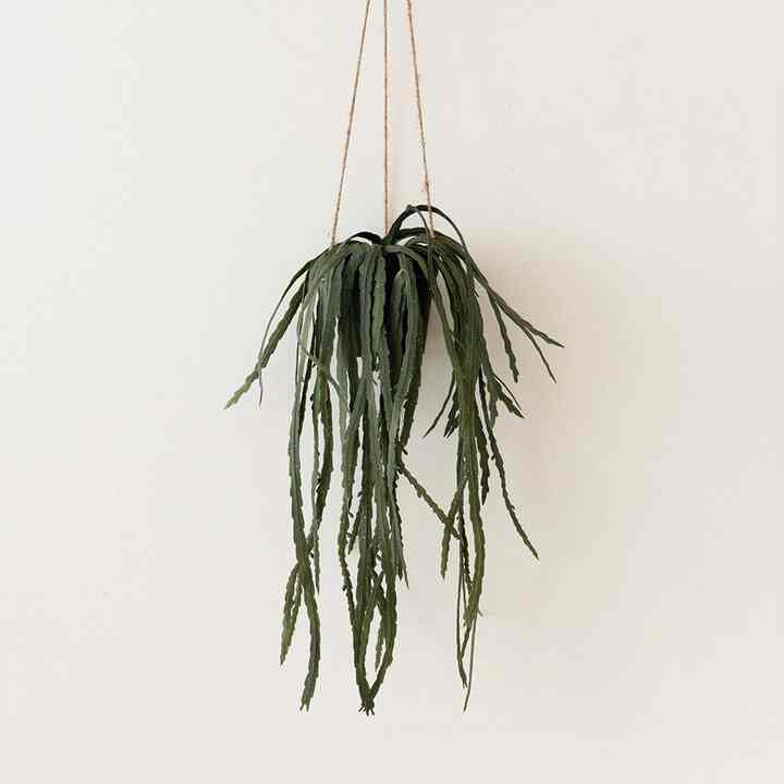 リプサリス 造花