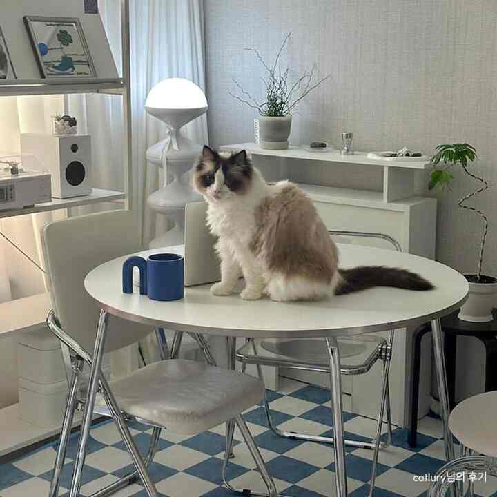 Off 円形ダイニングテーブル［2色・2サイズ］