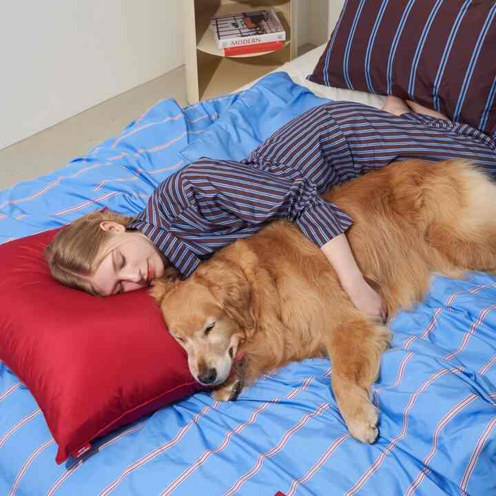 Furless Reversible アレルギーケア 掛け布団［4色・2サイズ］