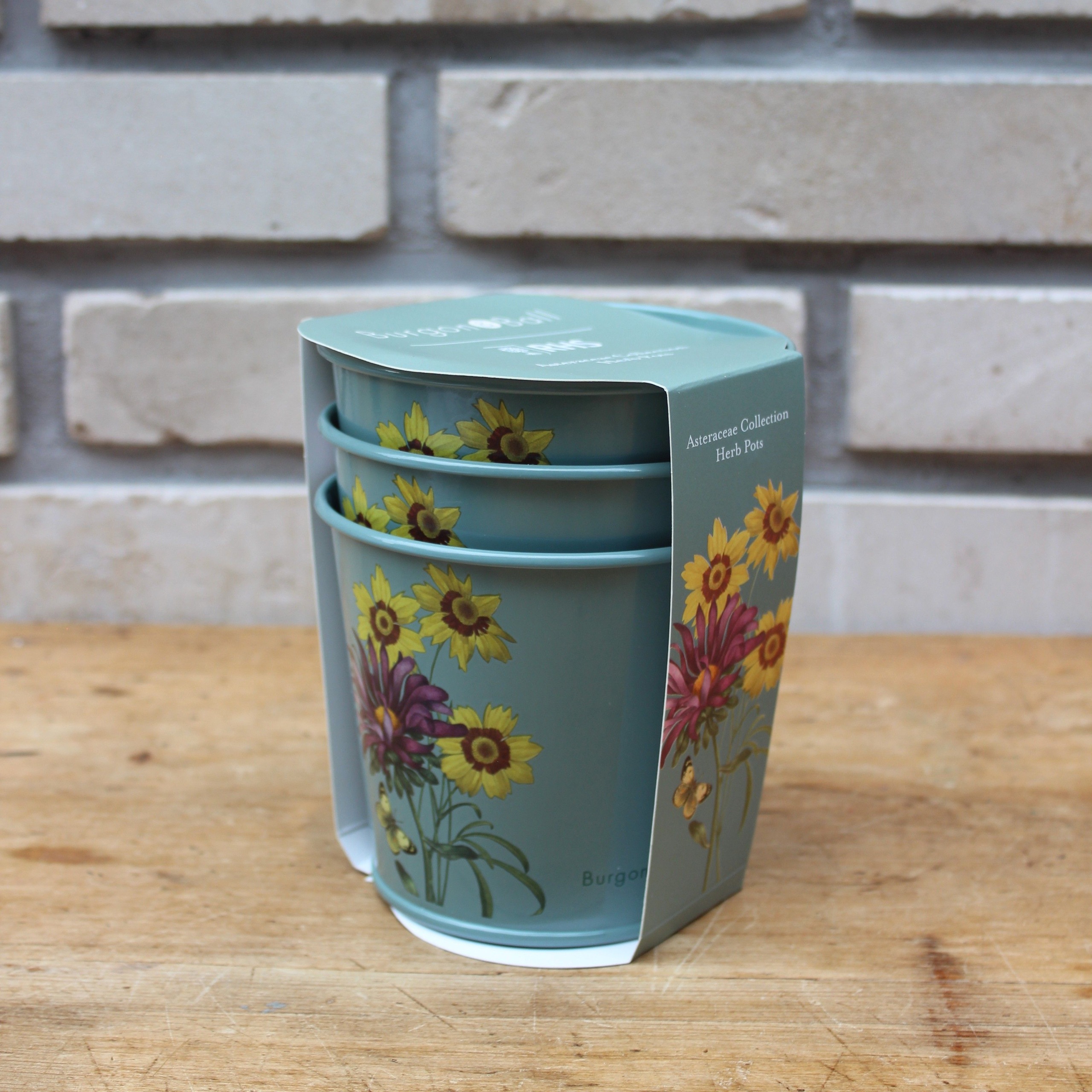 그린무어 버건앤볼 화분 세트 Asteraceae Herb Pots