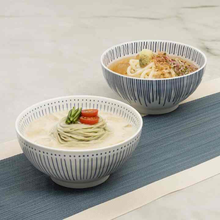 Japanese Noodle Bowl Set of 2