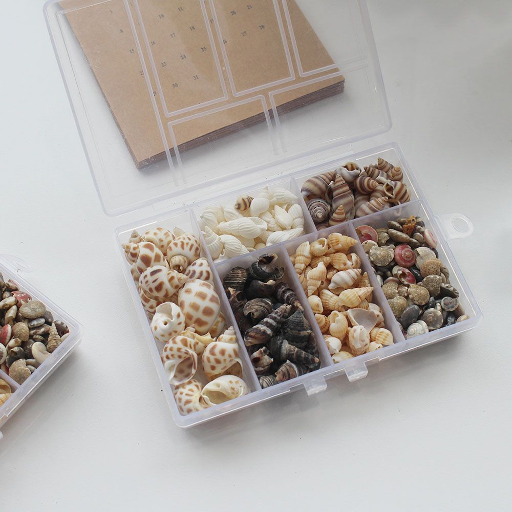 해피인어스 미니 조개껍질 공예품 조개껍데기 파츠 DIY 케이스 어항꾸미기 장식