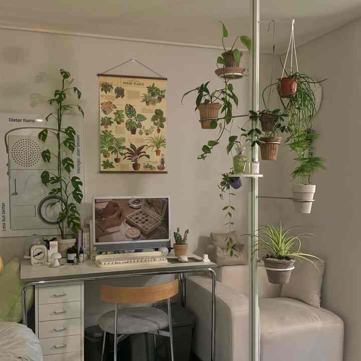 フルハンガー アイボリー Layout 001［4サイズ］