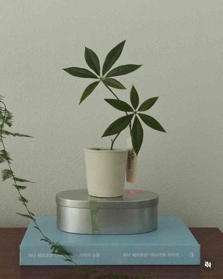 パキラ 造花［2サイズ］