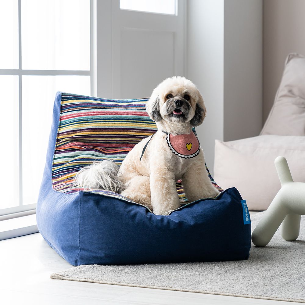 ペットインテリア | Ohouse(オーハウス)公式