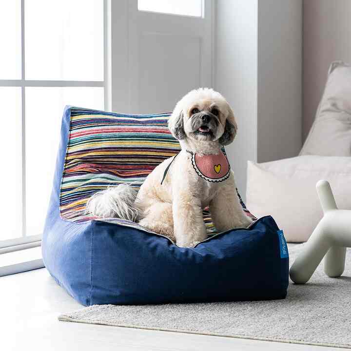 ペット用 ビーズクッション 607S［6色］