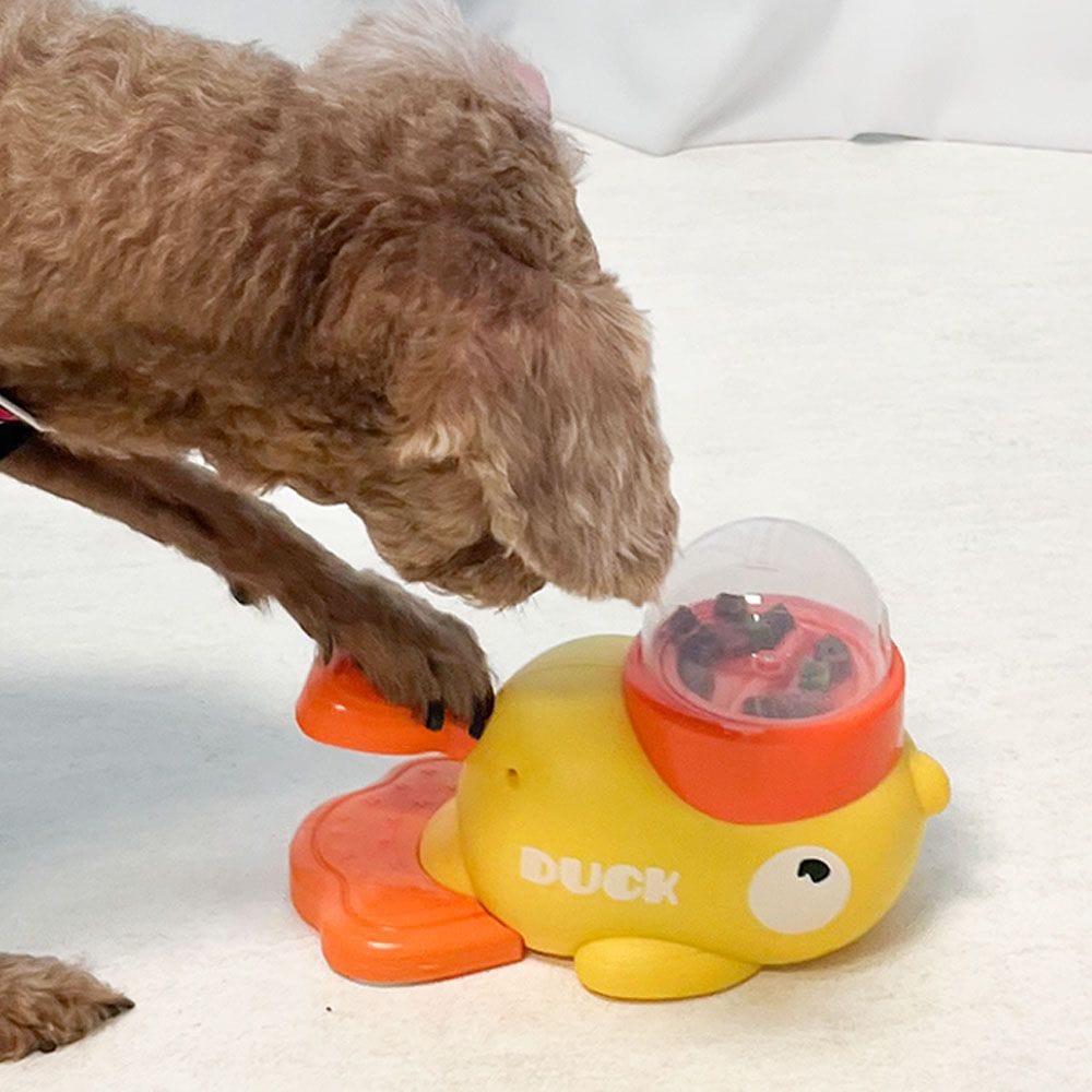 [신상품]알디펫 강아지 오리팡야 노즈워크 움직이는 페달 장난감 오래노는 장난감