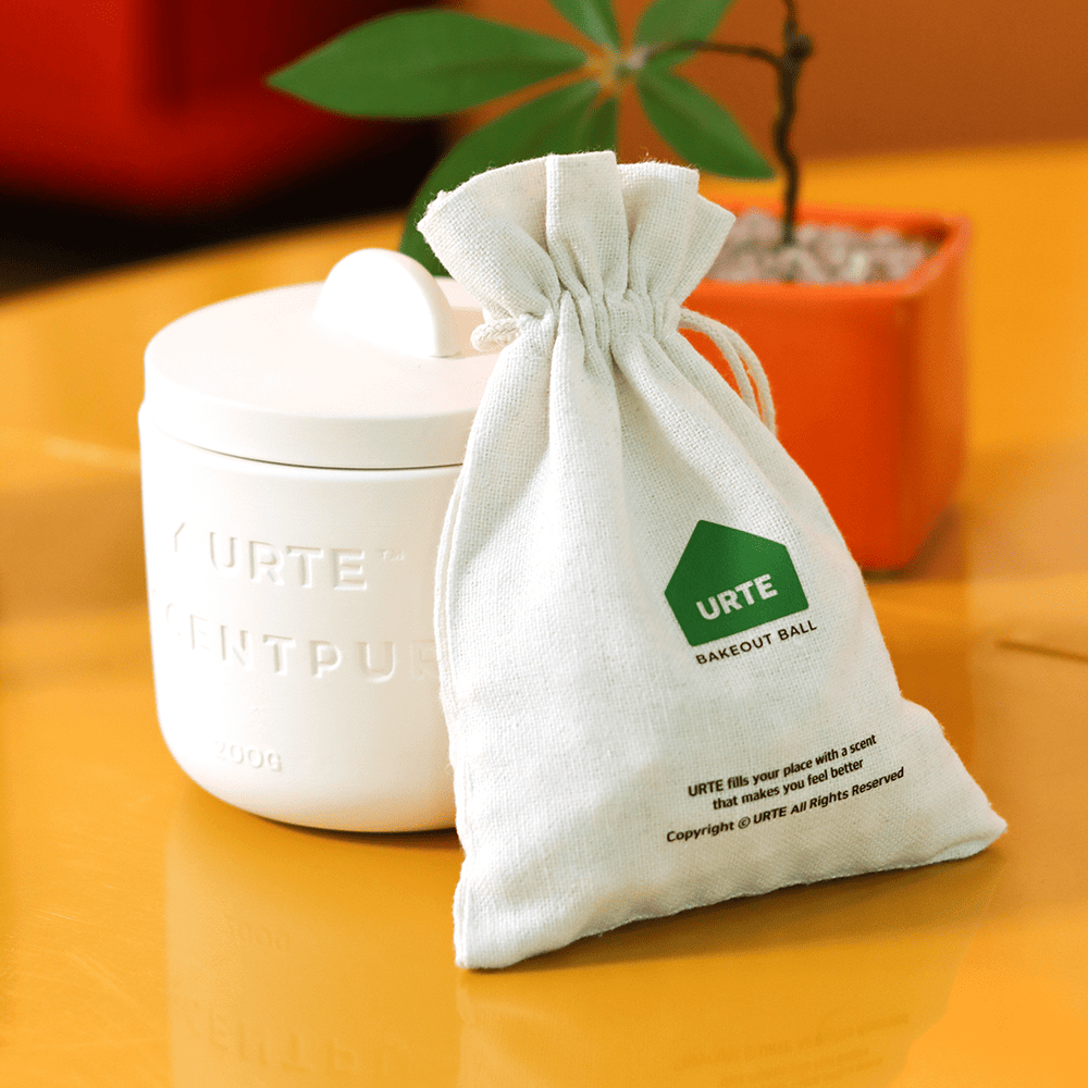 유르테 베이크아웃볼 포레스트+센퓨리 세트 탈취제 새가구 새집증후군 새차 집 담배 냄새 제거