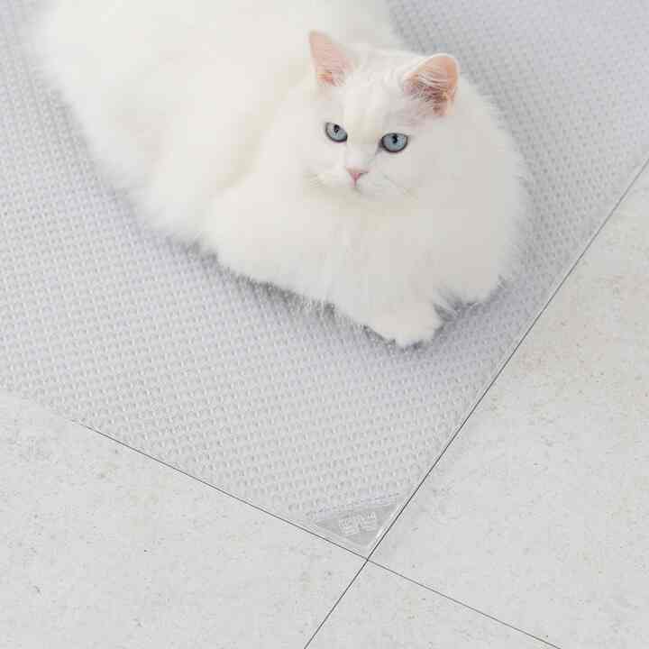 ニャン先生 猫用トイレ 砂取りマット［2種］