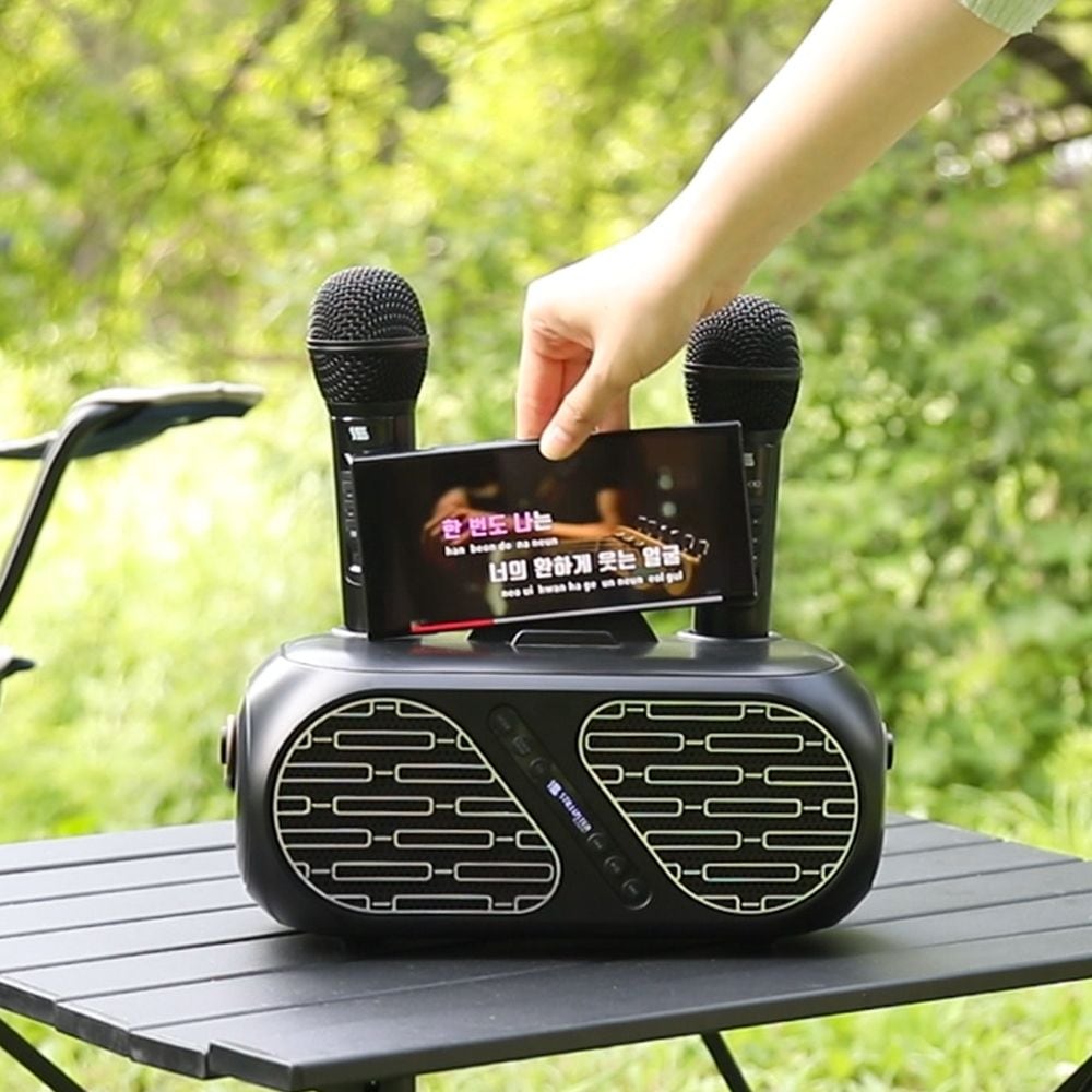 슈틸루스터 노래방 무선 듀얼 마이크 ST-DM100