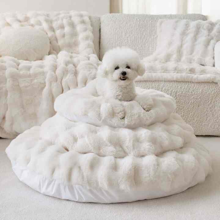 【中身付き】MINK LATTE ペットクッション［2色・2種・3サイズ］