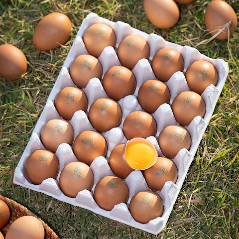 난각번호 1번 유정란 대란 20구 2판