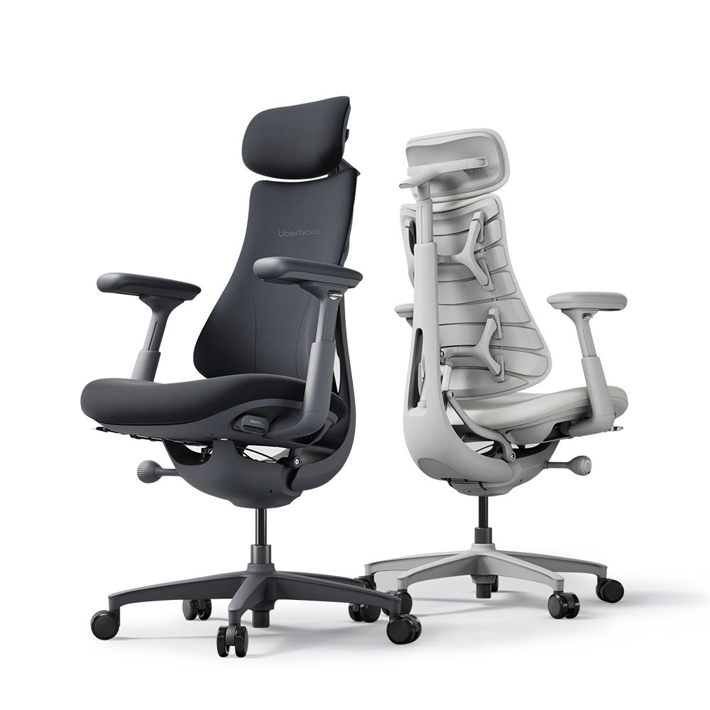 LiberNovo 다이나믹 인체공학 의자 LiberNovo Omni / 리버노보 옴니