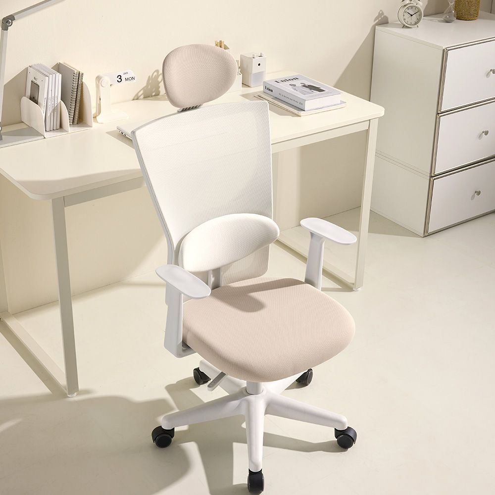 [오늘출발] [신상품] 체어스코 에르고 바른 자세교정 컴퓨터의자 사무용 사무실 학생 공부 책상의자