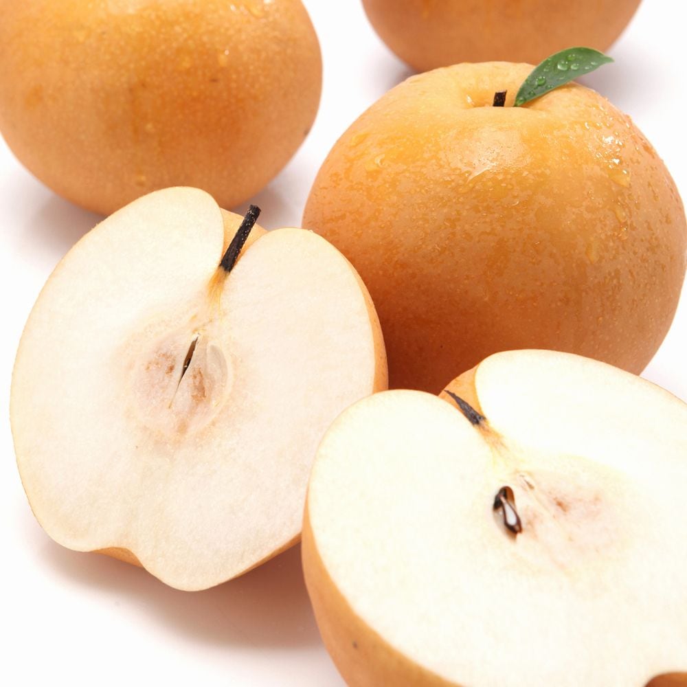 욜로부로 [노마진] 25년 제철 시원달콤 과즙가득 고당도 꿀배 5KG 초