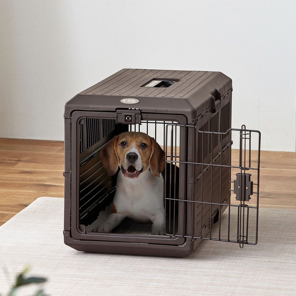 아이리스코리아 신상품 접이식 강아지 캔넬 켄넬 대형견 이동가방 중형견 케이지 캐리어 손잡이 FC-670