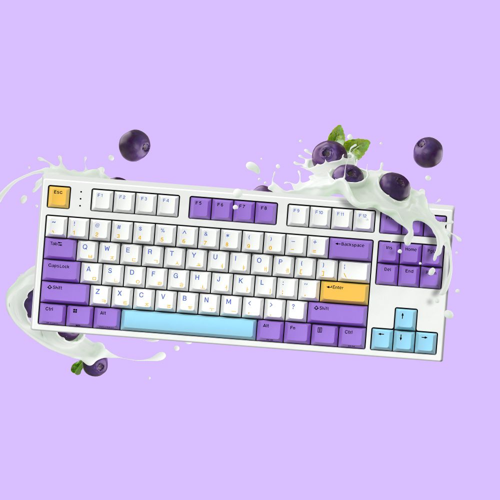 한성컴퓨터 GK777SE OfficeMaster 기계식키보드 토독 블루베리(호크40g_저소음)