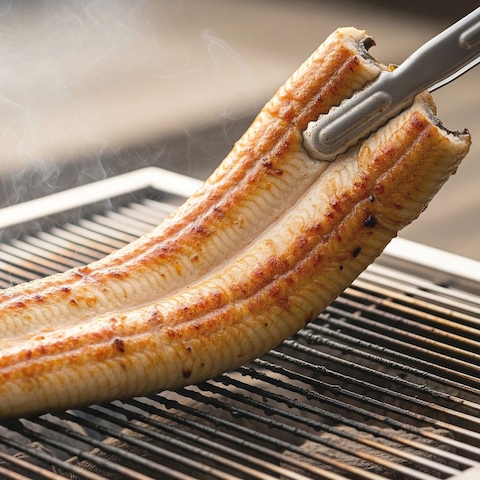 자포니카 손질장어 1kg 2-3미