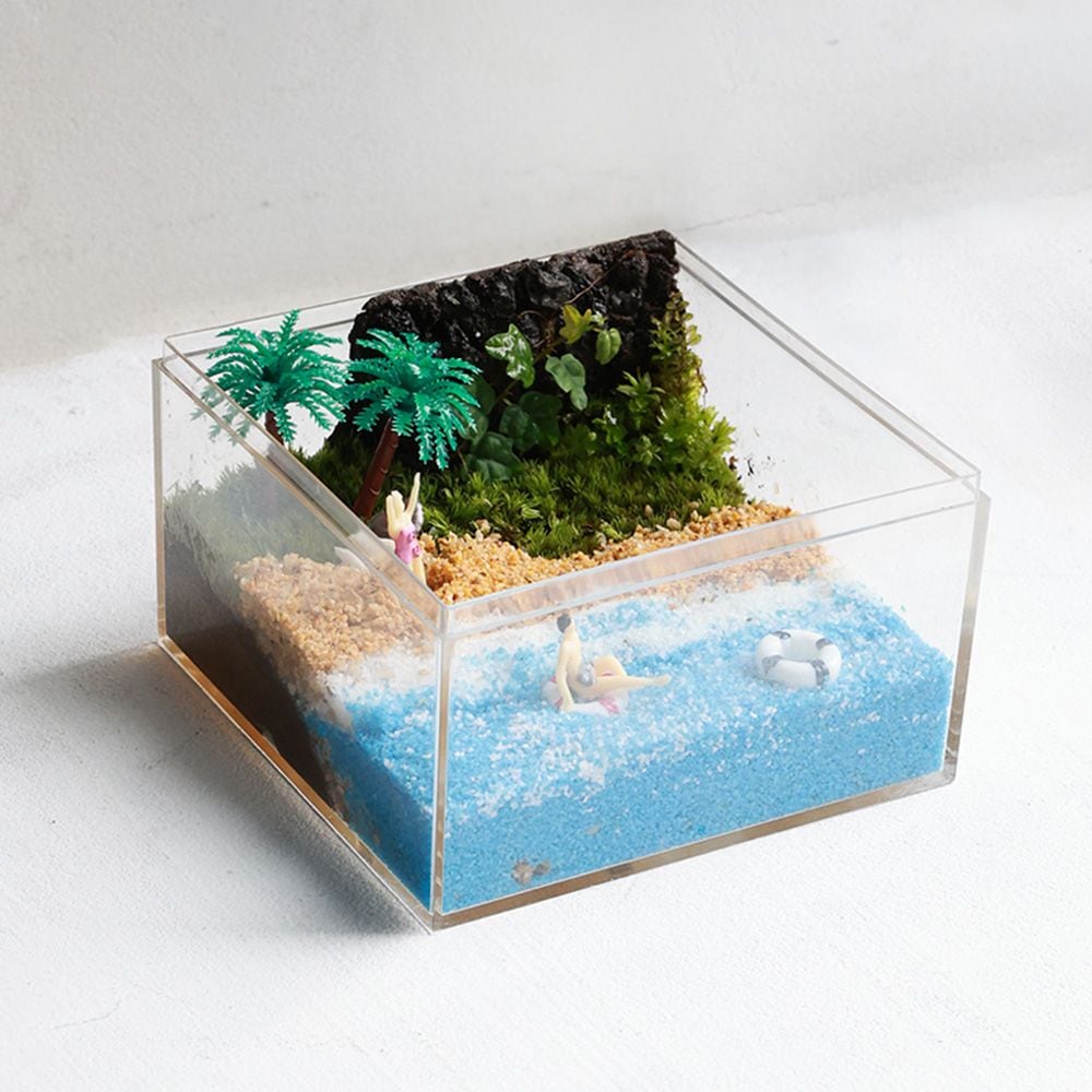 릴리몰리 여름 해변 제주애기모람 테라리움 이끼 키우기 만들기 diy 키트