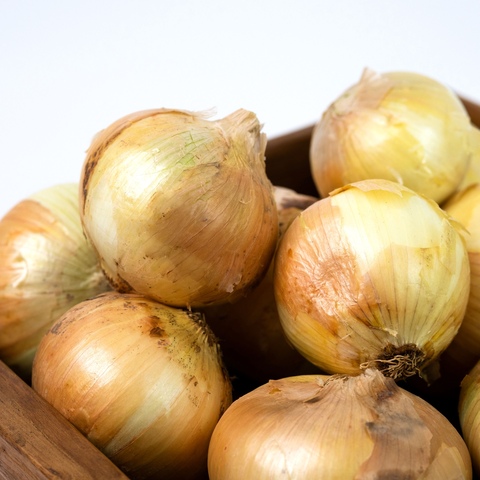 농협 국내산 햇 양파 5kg 중대사이즈