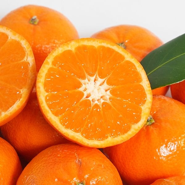 썬키스트 만다린 2kg