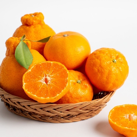 제주직송 고당도 천혜향 2kg 중소과