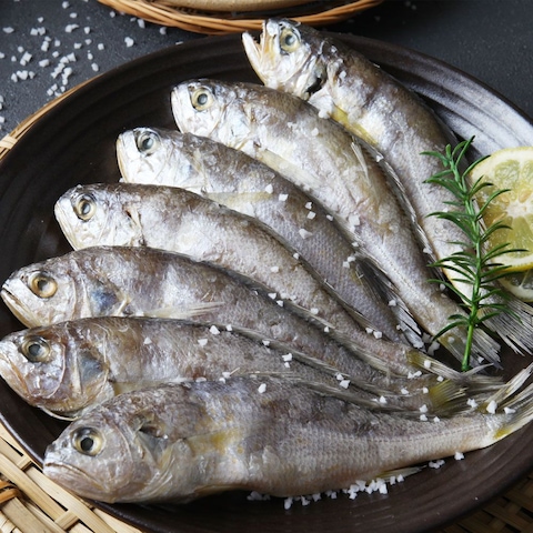 법성포 영광 참맛 진굴비 700g 20미