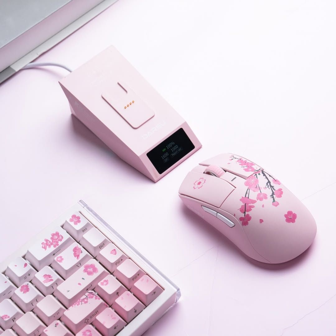 다얼유  A950GD CONSUMER 유무선