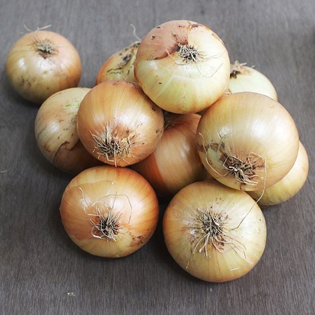 맛꾼 [산지직송] 25년 국내산 햇 양파 10kg / 대용량 아삭단단 상품 선별